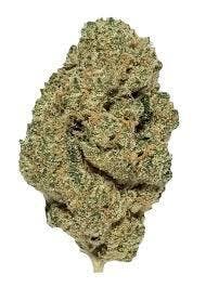 State Flower | Applescotti