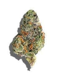 Phantom Farms | Cheddar Cheeze