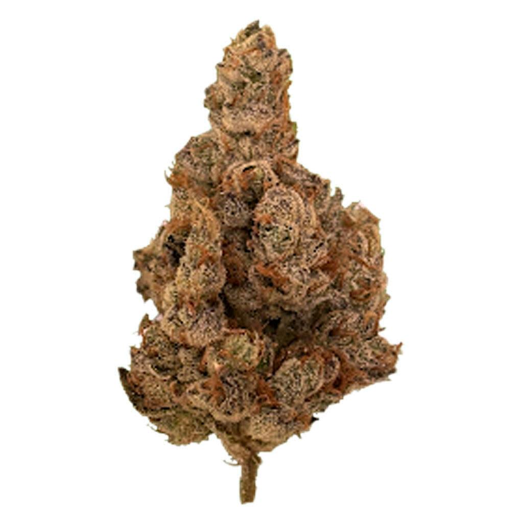 Barrie Exotic 3.5g Dried Flower