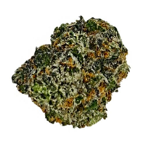 Ghostbudsters Farm Black Scottie