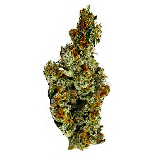 HOG Cannabis Platinum Float
