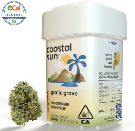 Coastal Sun - Garlic Grove — 1g Flower - 1 gram