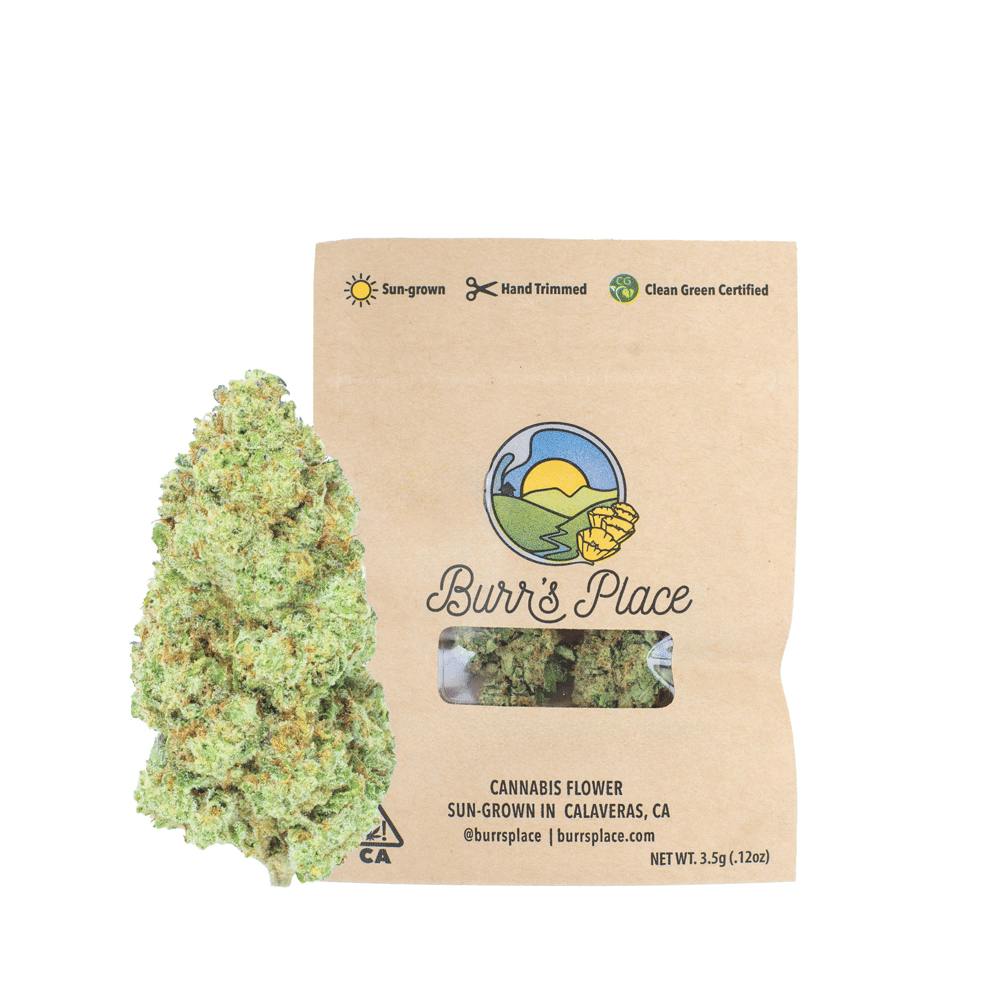 Burr's Place - Tropicanna Shoes — 3.5g Smalls