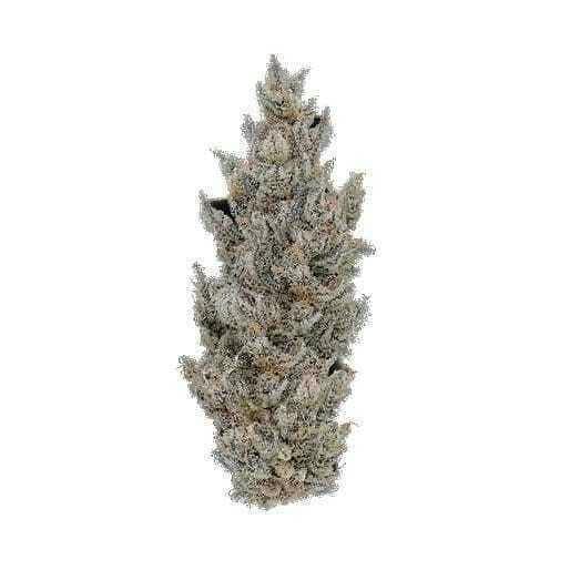 Holy Cow! | 3.5g
