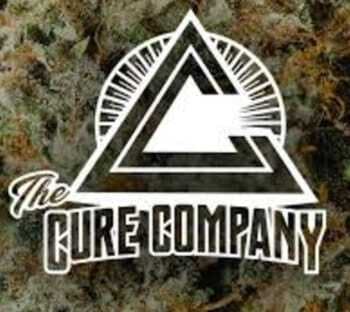 The Cure Company - Jackpot: 3.5g Flower