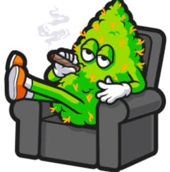 Lazy Bud - Sour Momma — 3.5g Flower