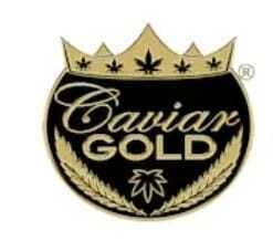 Caviar Gold - Blue Dream l 2.5g 5pk — Infused Preroll Pack