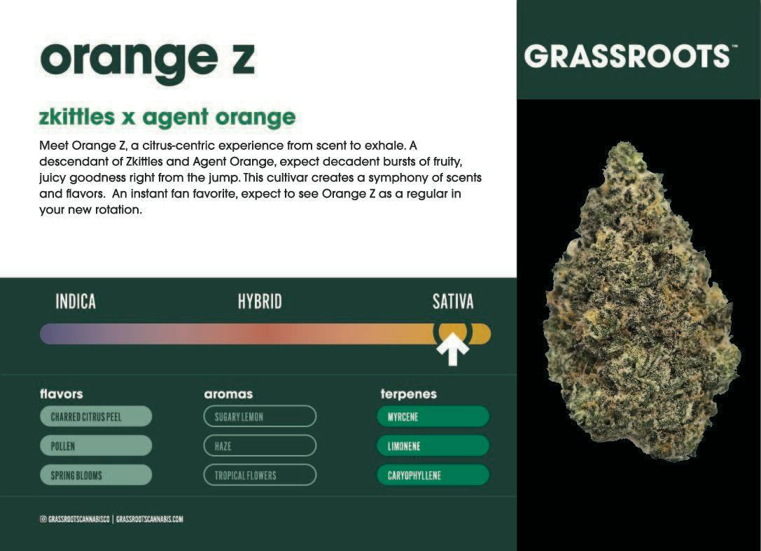 Orange Z Whole Flower