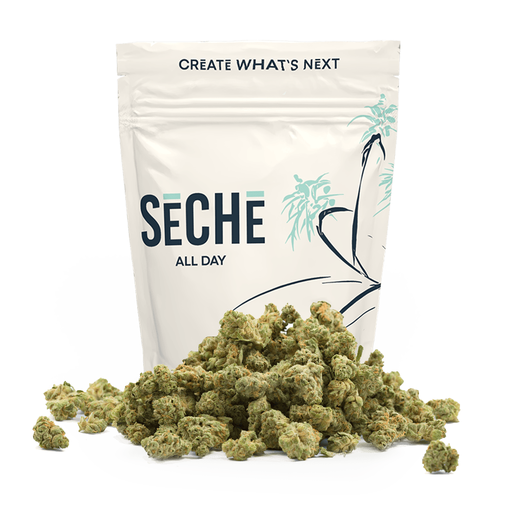 Seche I-95 Legend 28g