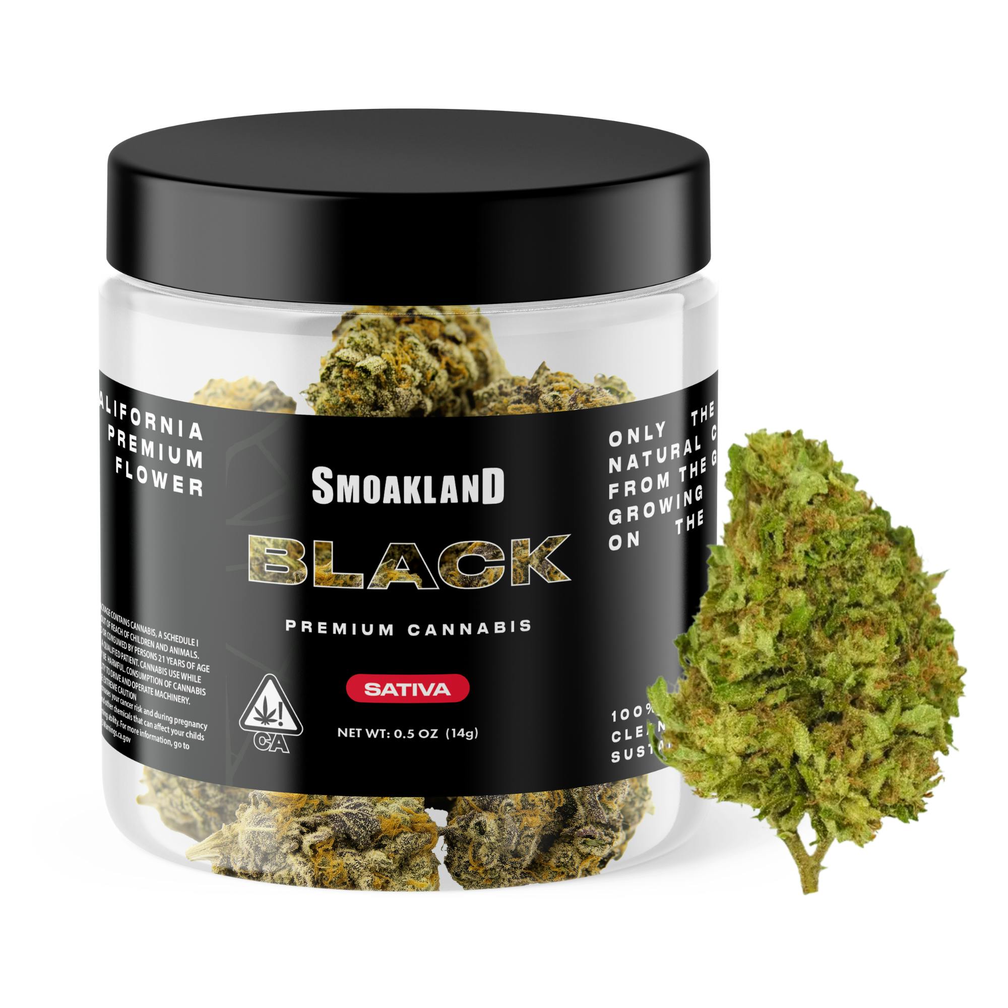Black Jar - Donny Burger (I) - 14g