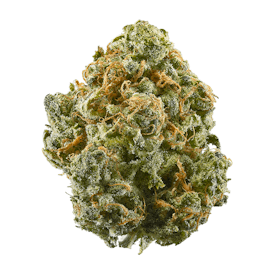 Eighth- Bio Jesus Flower 3.5g by Thirdstate 26%