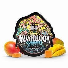 Magic Mushroom Gummies Juicy Mango