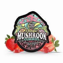 Magic Mushroom Strawberry Dream
