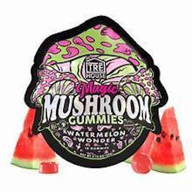 Magic Mushroom Gummies Watermelon Wonder
