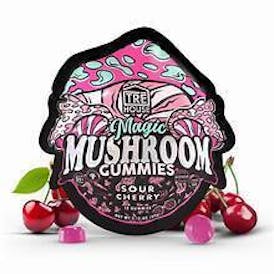 Magic Mushroom Gummies Sour Cherry