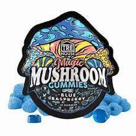 Magic Mushroom Gummies Blue Raspberry