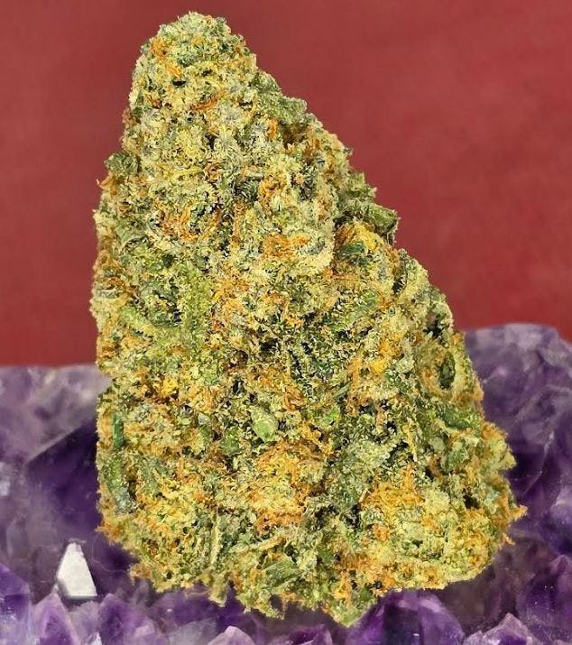 Eighth- Zombie Cookies Flower by Voodoo Cannabis 3.5g (24%)