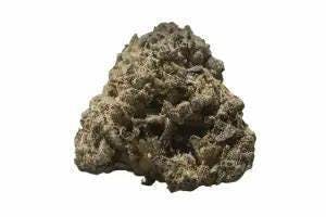 1g Flower- Sourdough Stash 18% By Vital Gardens
