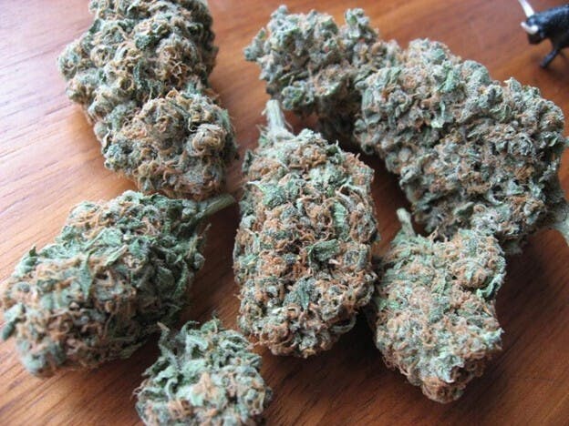 1g Flower- Blueberry by Voodoo Cannabis