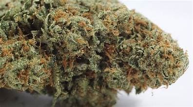 Prepackaged Half Ounce Orange Candy 14G by Voodoo Cannabis