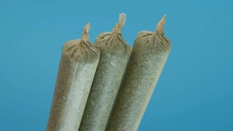 3-Pack Super Cheese 0.5g Pre-Rolls by Voodoo Cannabis