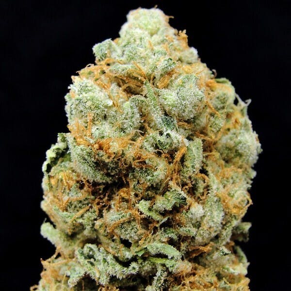 Eighth- Honey Banana 3.5g by Voodoo Cannabis (27%)