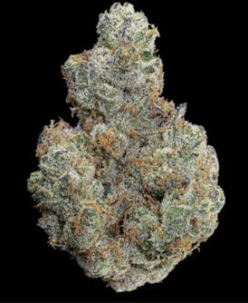 Sunshine - GMO Rootbeer - SB