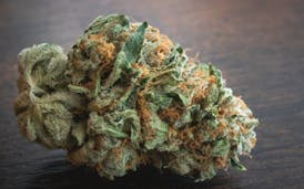 Sunshine - Rainbow Sherbert - SB