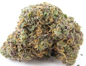 Sunshine - Zoap - SB