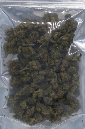 $55 OTD Lemon Tree OZ Pre-Weigh