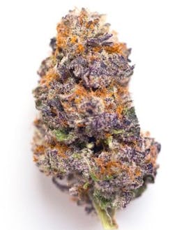 Seed & Smith - Modified Grapes -SB