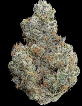 GMO - SB