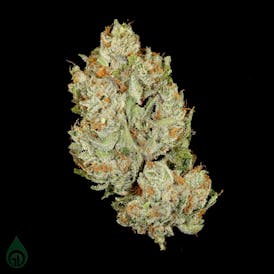 Green Dot Labs - Fuchsia Quarter Jar (REC)