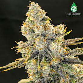 Green Dot Labs - Screaming OG Half Jar