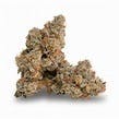 Exotic Cropz - Black Maple (REC)