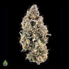 Green Dot Labs - Safety Meeting Eighth Jar
