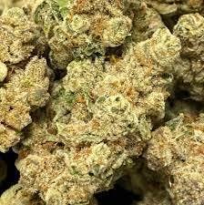 $25 OTD Garlic Drip 1/4 OZ Pre-Weigh (REC)