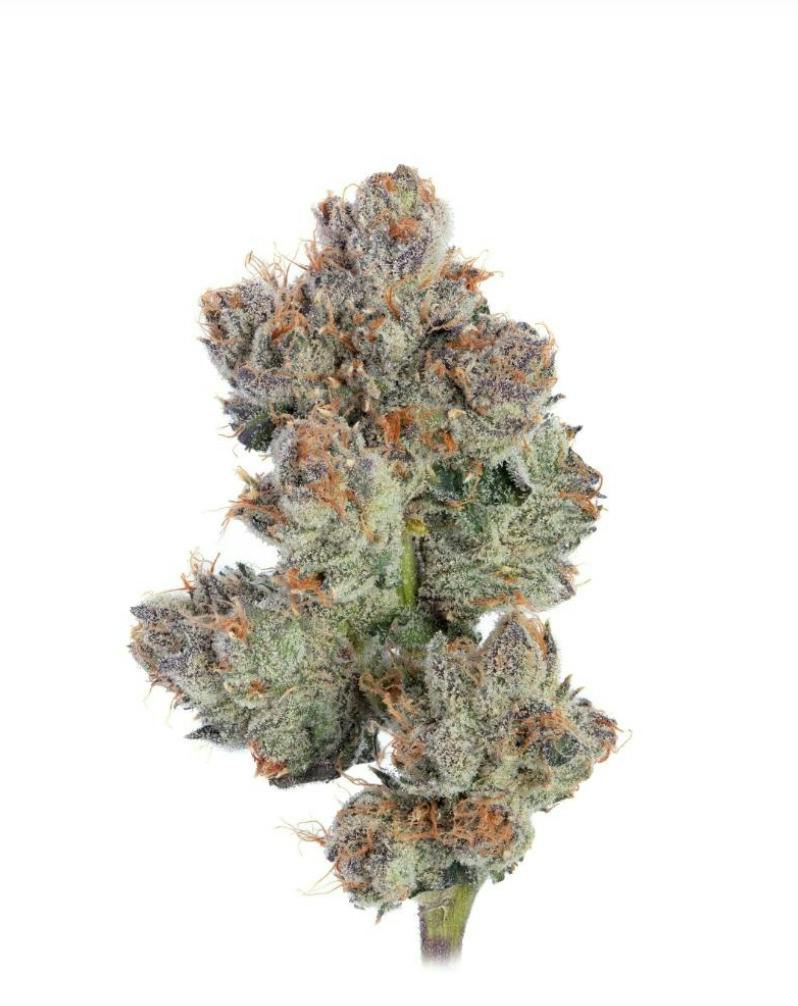 Haylow Farms - Galactic War Heads - (REC)