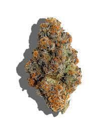 Haylow Farms - P4516 x WHG