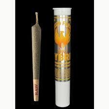 Fuego Farms - Mintos (S) 1g Pre-Roll (REC)