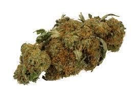 Colorado Chronic - Strawberry Snacks