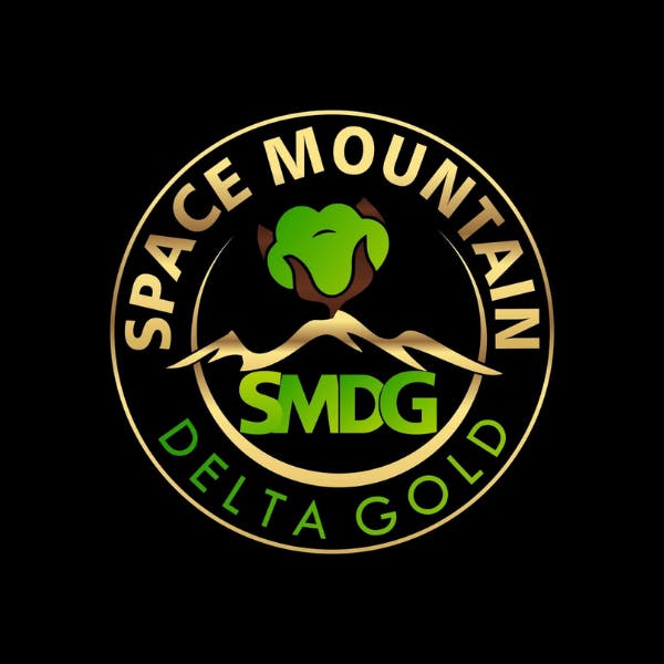 Space Mountain Delta Gold Acapulco