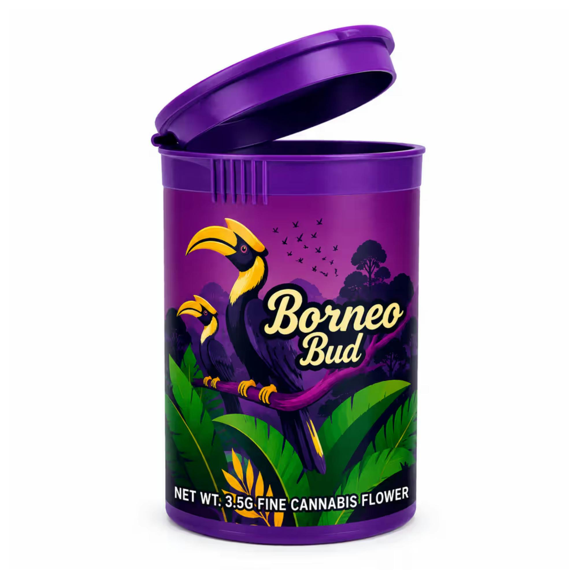 Borneo Bud Astronaut Status
