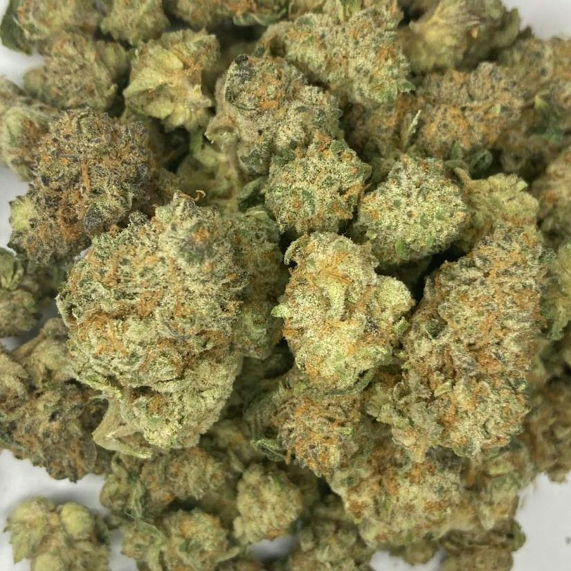 Distro 10 - Platinum Punch (IH) Flower