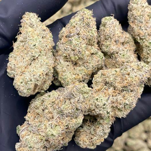 Gas Station Cultivation - Bubble Belts (S) Flower