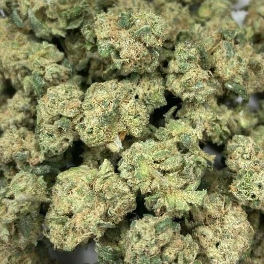 Gas Station Cultivation - Jealous Gary (H) Flower