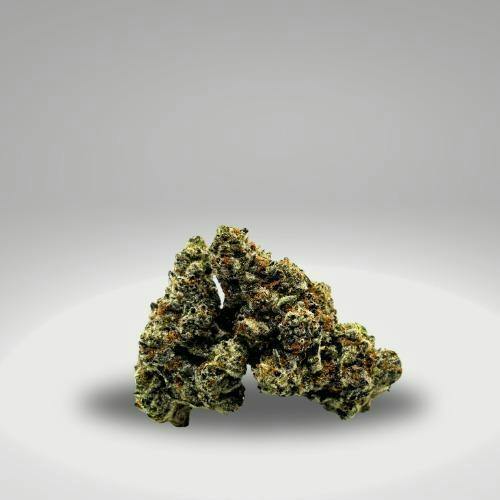 Blaze - Guava Bars