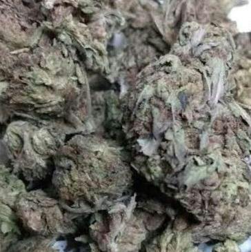 Goodlyfe Farms - Parole OG (H) Ounces