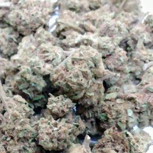 Goodlyfe - Gazzurple (S) Flower