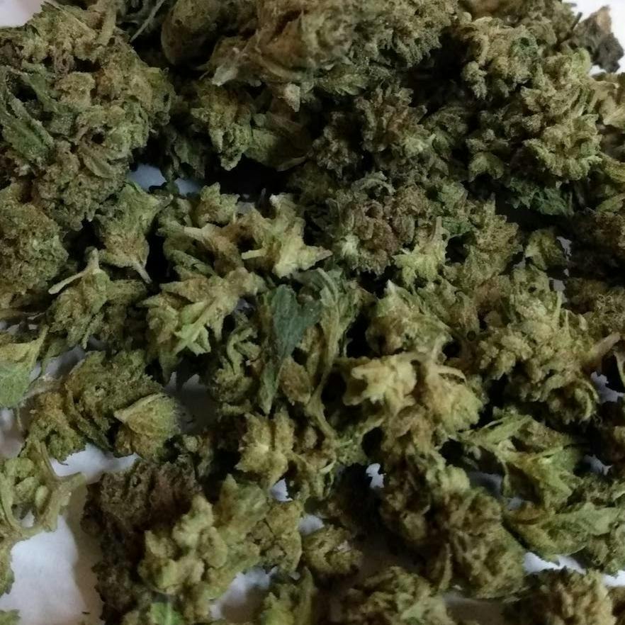 Goodlyfe - Kush Cake (H) Flower
